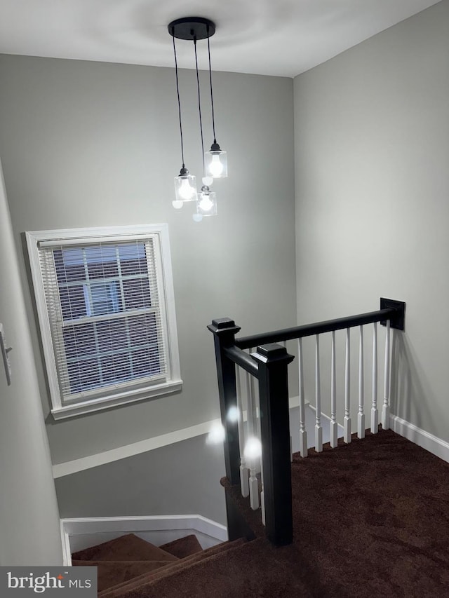 staircase featuring carpet flooring