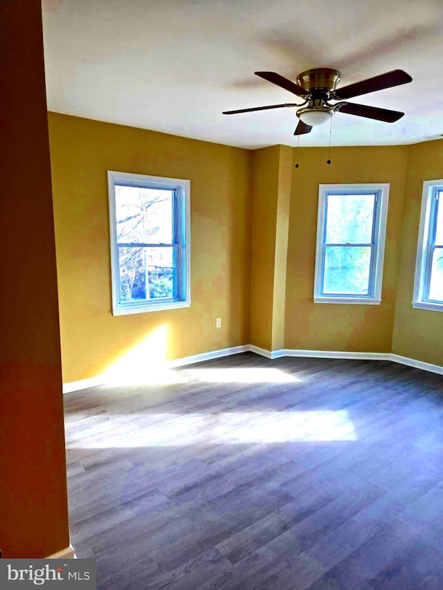 spare room featuring hardwood / wood-style floors, ceiling fan, and a wealth of natural light