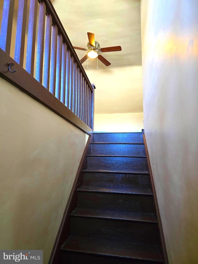 stairway featuring ceiling fan