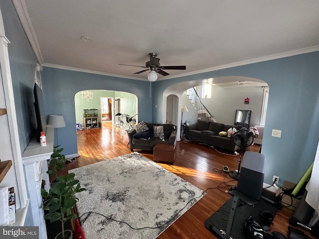 living room with hardwood / wood-style floors, ceiling fan with notable chandelier, and crown molding