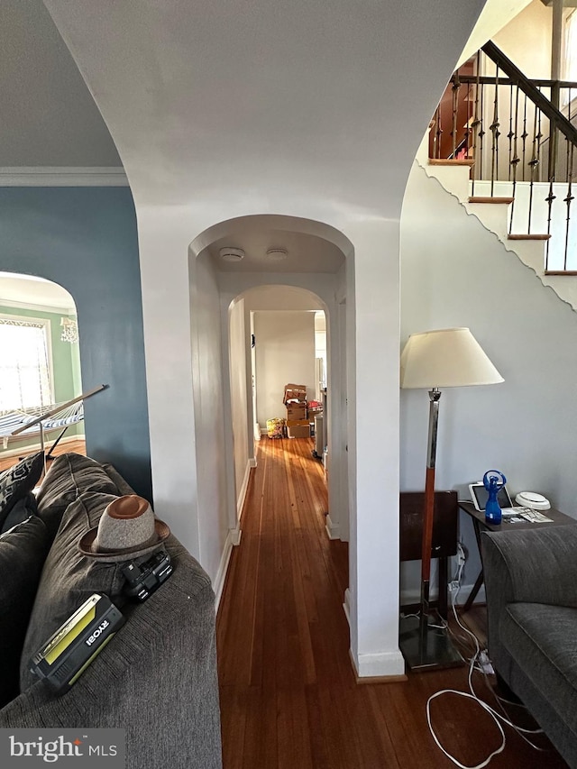 hallway with crown molding and dark hardwood / wood-style floors