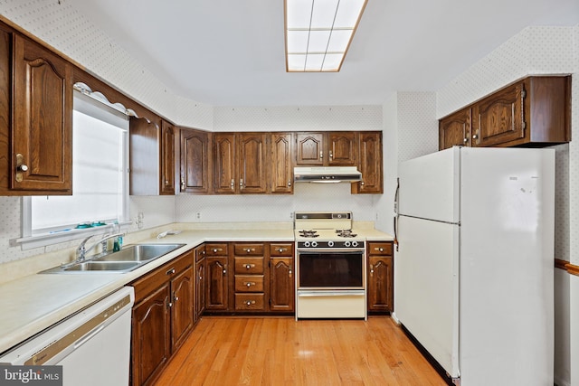 kitchen featuring light wood-type flooring, white appliances, and sink