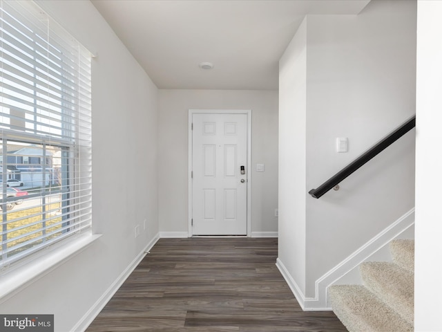 entrance foyer with dark hardwood / wood-style floors and a healthy amount of sunlight