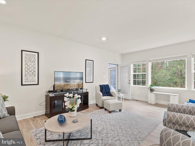 living room featuring light wood-type flooring