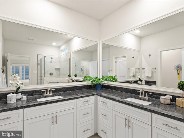 bathroom with vanity, walk in shower, and a wealth of natural light