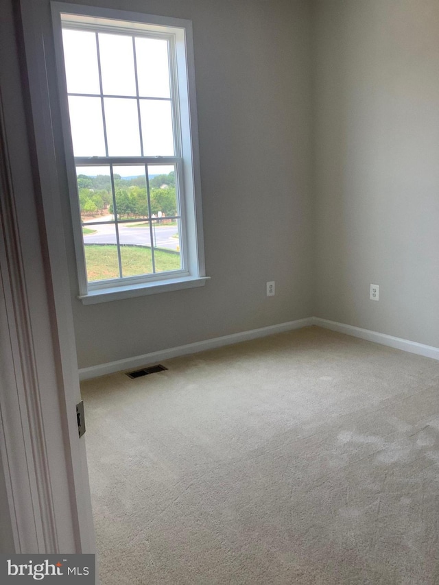 carpeted spare room with plenty of natural light