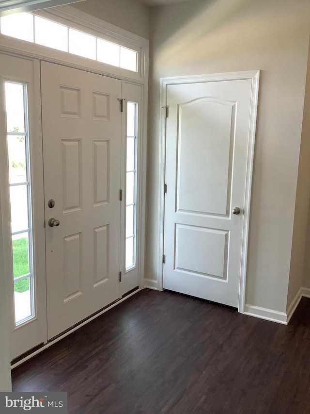 foyer entrance with dark wood-type flooring