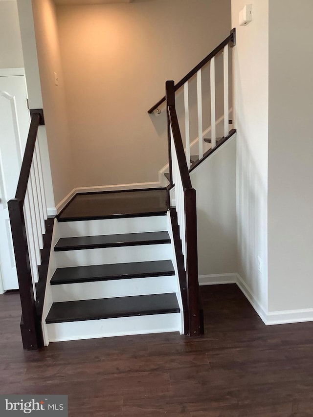 staircase with wood-type flooring