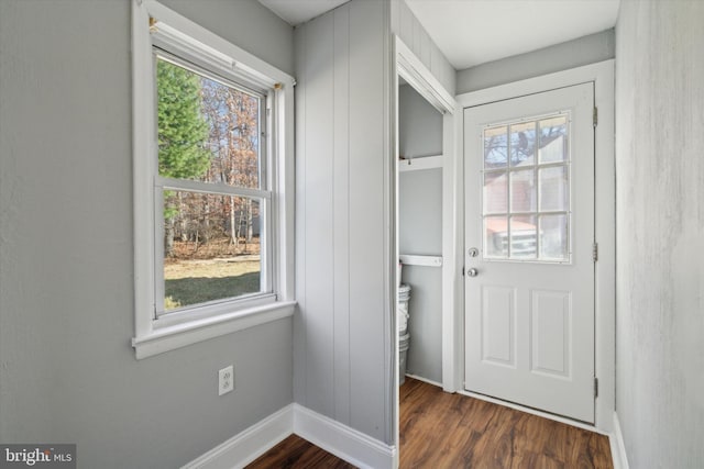 entryway featuring plenty of natural light and dark hardwood / wood-style floors