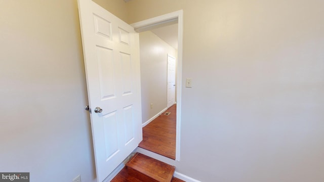 hallway featuring dark hardwood / wood-style flooring