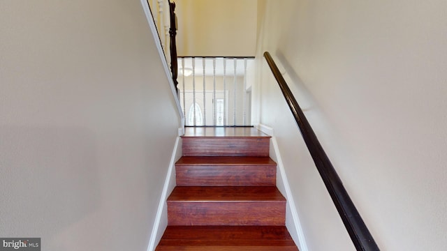 staircase with wood-type flooring