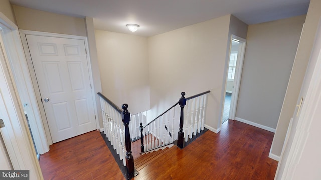 staircase with wood-type flooring