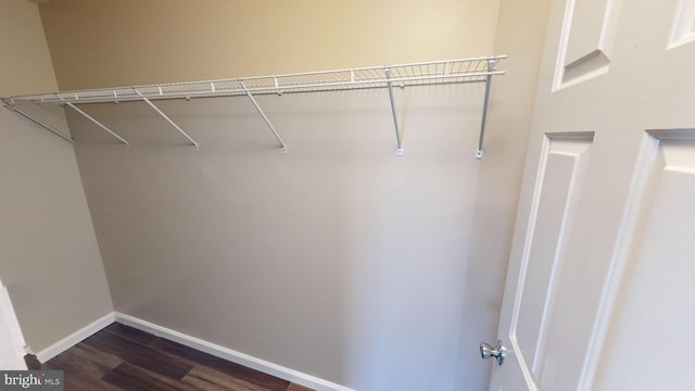 spacious closet with dark wood-type flooring