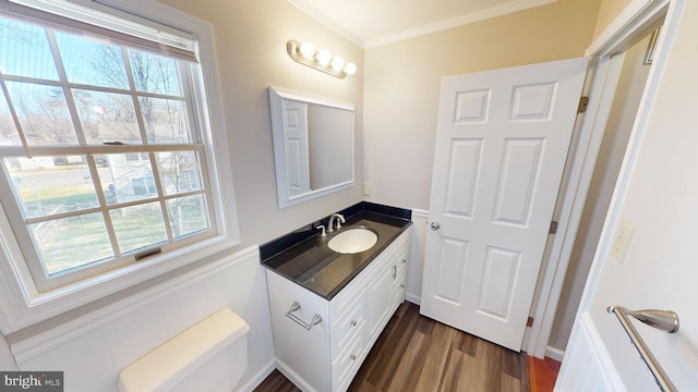 bathroom featuring crown molding, hardwood / wood-style floors, and vanity