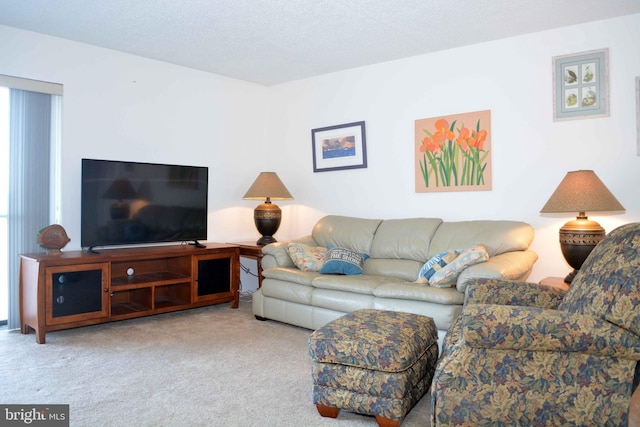 living area with a textured ceiling and light colored carpet