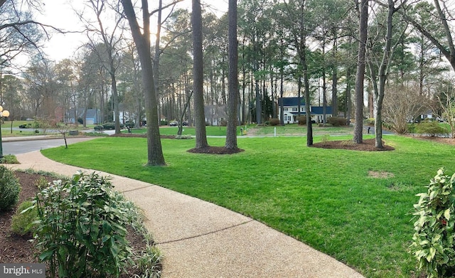 view of property's community featuring a yard