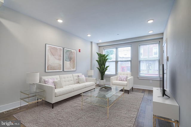 living room with dark hardwood / wood-style floors