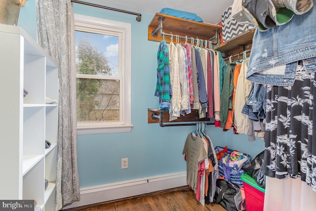 spacious closet with dark hardwood / wood-style floors