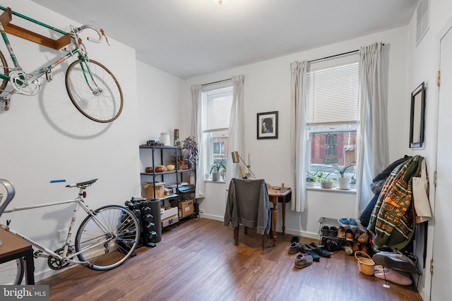 misc room with hardwood / wood-style flooring and a wealth of natural light