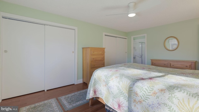 bedroom featuring wood-type flooring, two closets, and ceiling fan