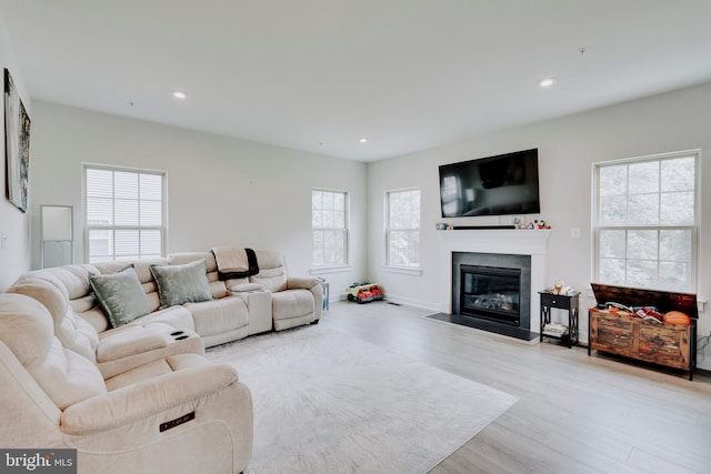 living room with light hardwood / wood-style flooring