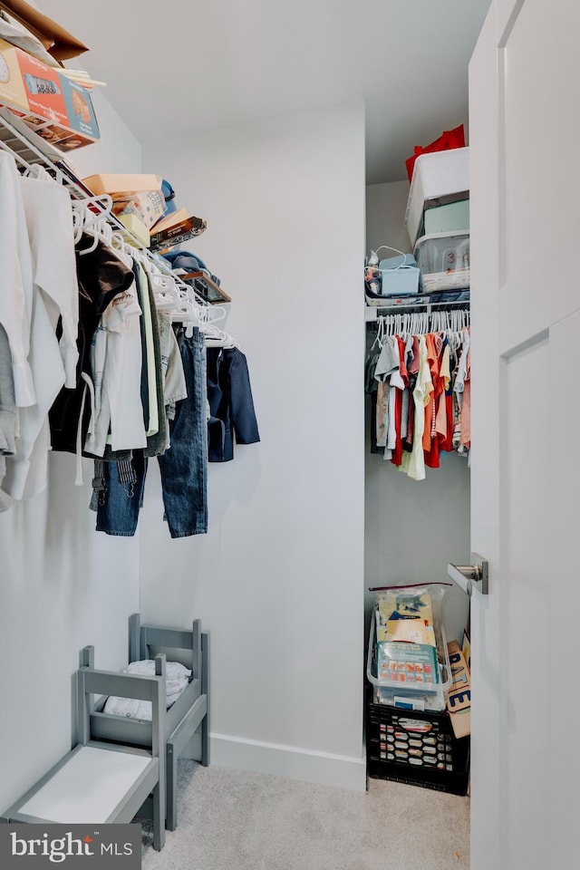 walk in closet with light colored carpet