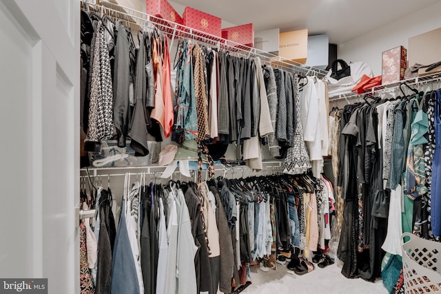 view of spacious closet