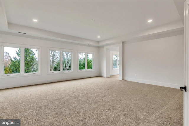 carpeted spare room featuring a raised ceiling