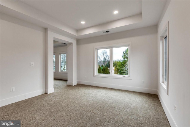 spare room featuring carpet flooring and a tray ceiling