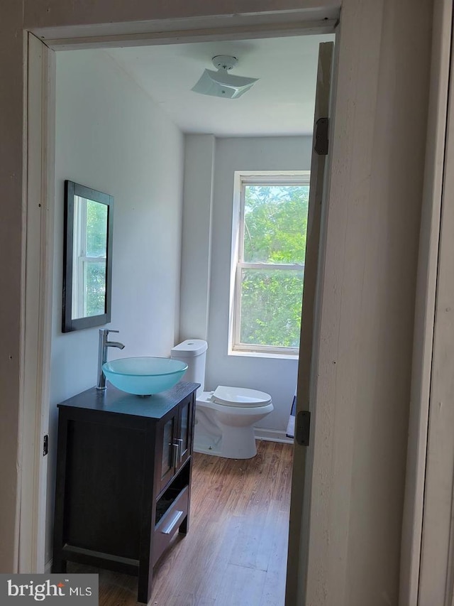 bathroom featuring toilet, vanity, and hardwood / wood-style flooring