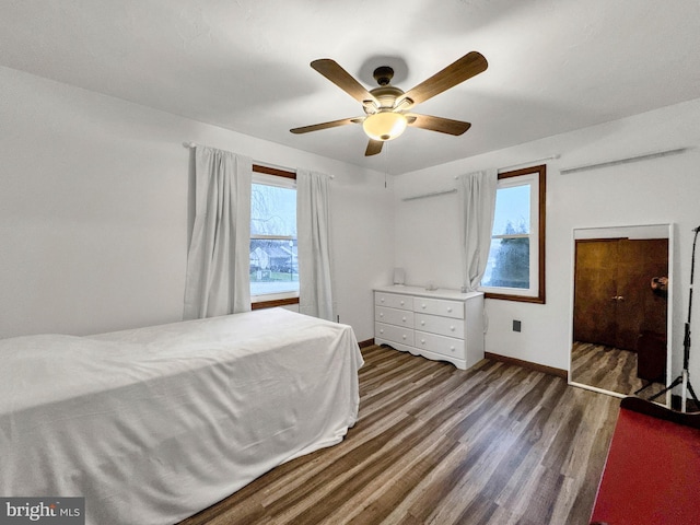 bedroom featuring dark hardwood / wood-style flooring, multiple windows, and ceiling fan