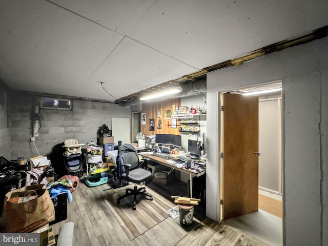 basement featuring hardwood / wood-style flooring