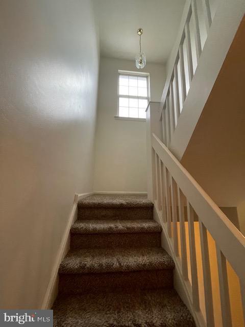 stairs featuring carpet floors