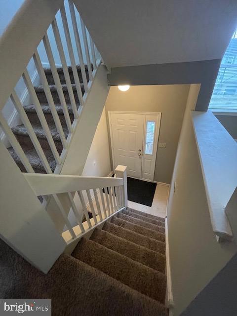 staircase with carpet flooring