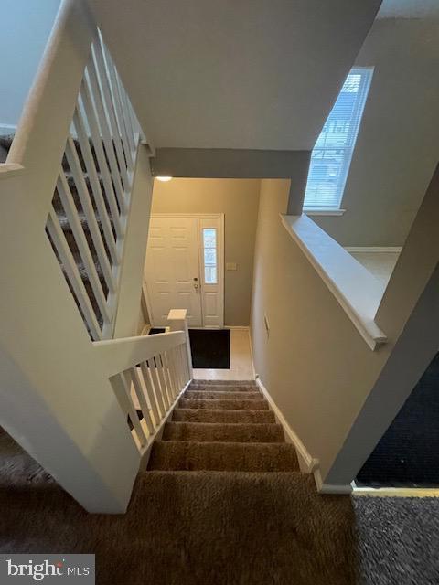 stairway featuring carpet floors