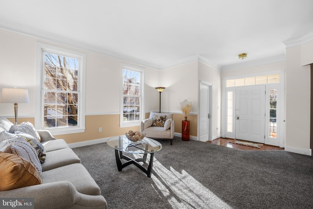 living room with carpet and crown molding