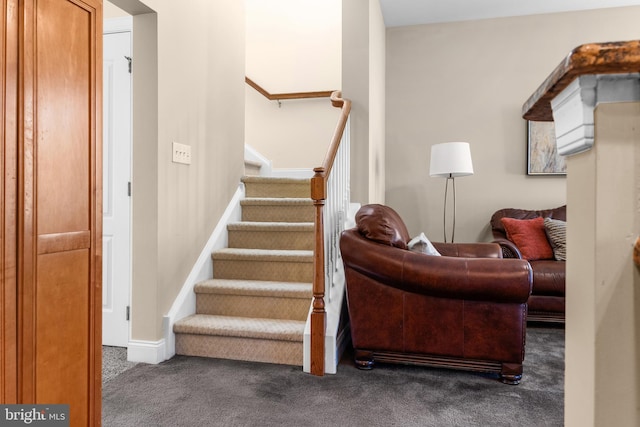 stairway featuring carpet