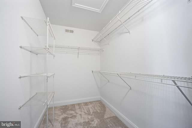 walk in closet featuring light colored carpet