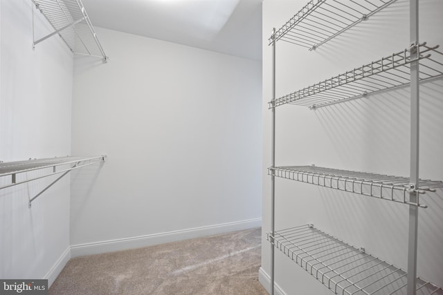 spacious closet with light colored carpet