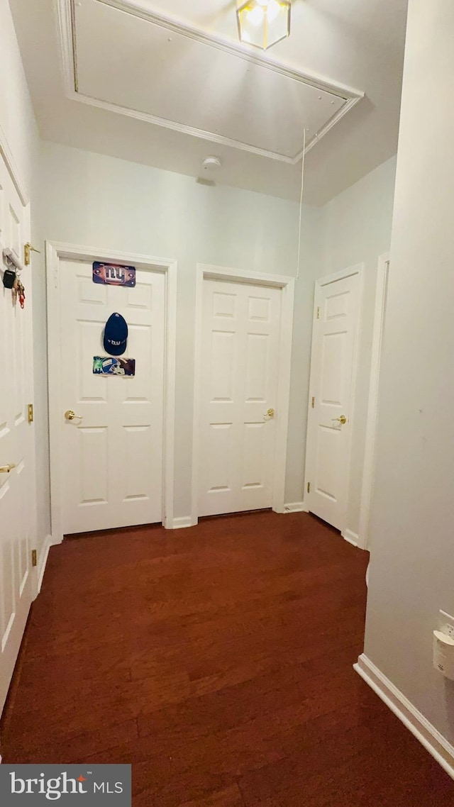 corridor with dark wood-type flooring