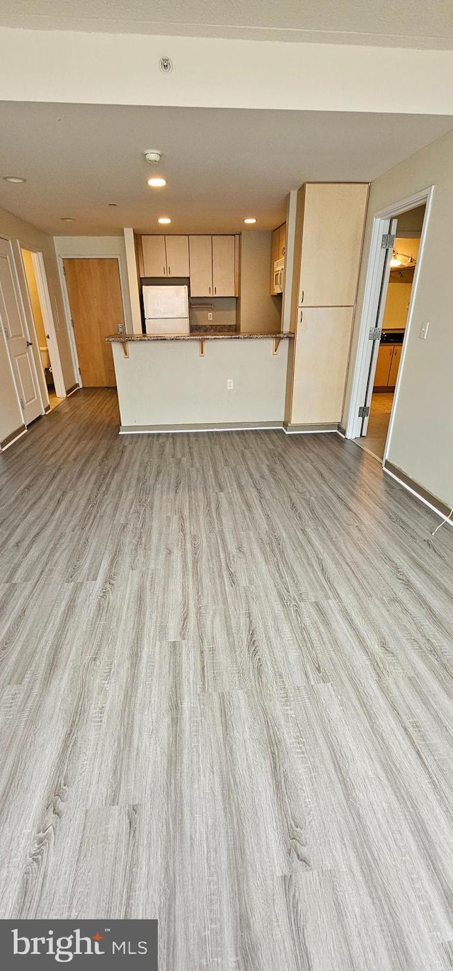 unfurnished living room with light hardwood / wood-style floors