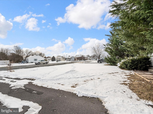 view of snowy yard