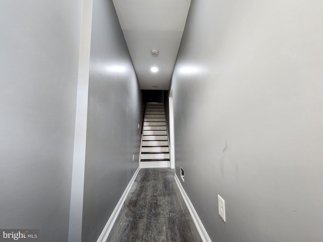 stairs with wood-type flooring