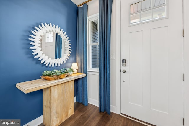 foyer featuring dark wood-type flooring