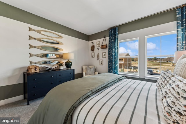 bedroom with carpet flooring