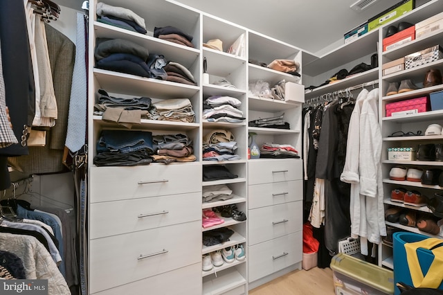 walk in closet with light wood-type flooring