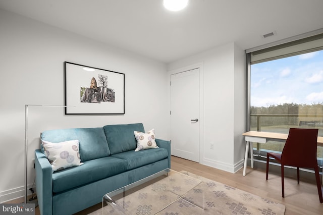 living room with wood-type flooring