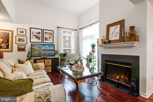 living room with wood-type flooring