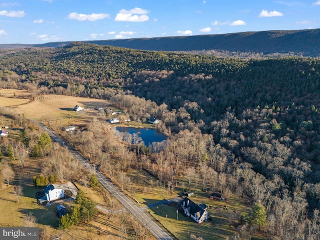 drone / aerial view with a water and mountain view