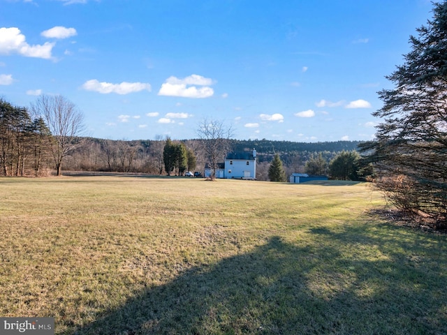 view of yard with a rural view